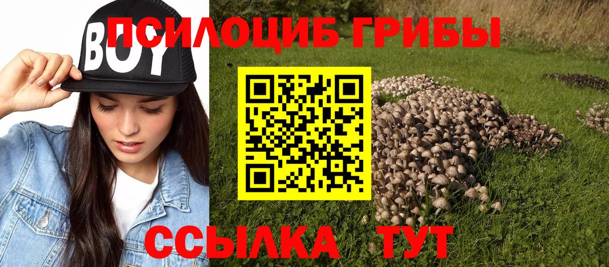 Псилоцибиновые грибы мухоморы  Псилоцибиновые грибы Cubensis  Коркино  Вход с VPN 